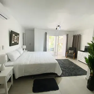Kite & Apartamento